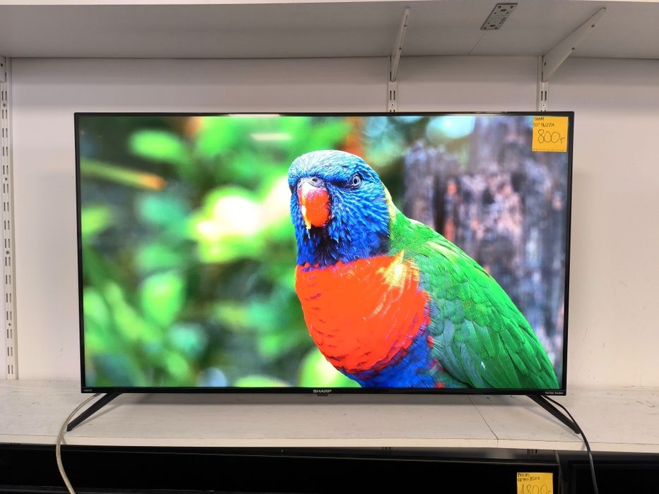 Sharp 50 cali 4K UHD hdr Smart Android WiFi DVB-T2 50FN2EA gwarancja 3m telewizor