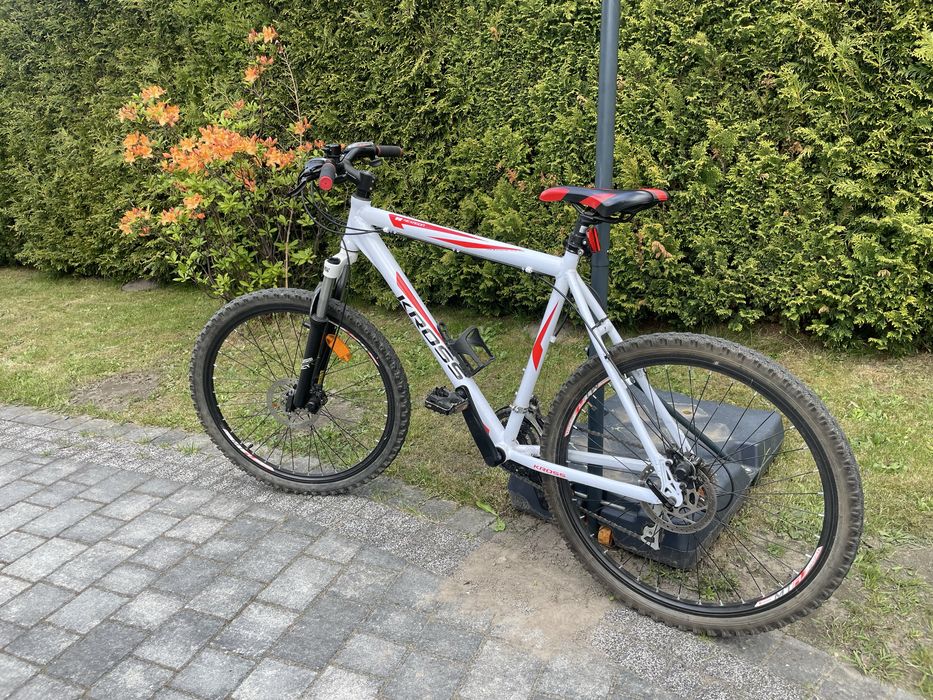 Rower KROSS V6 Hexagon