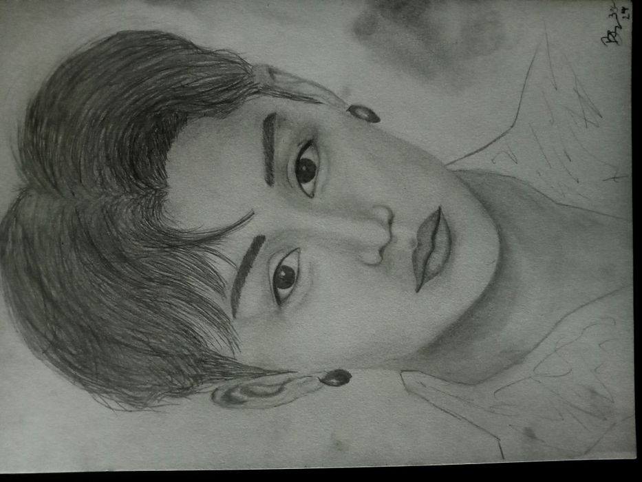 Desenho animais e retratos bebê/criança/adulto