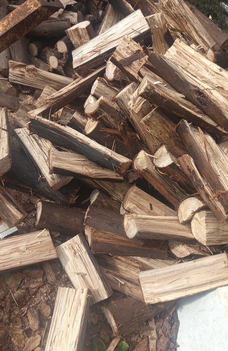 Vendo lenha seca de pinho 40€ m3 carvalho 50€ m3