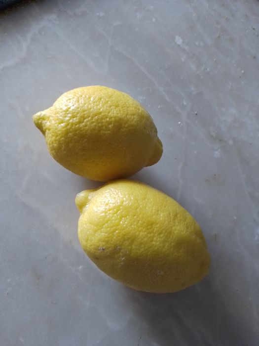 Classificaçao Universal-Índice conhecimentos Humano12E-Limoes5EDesde2E