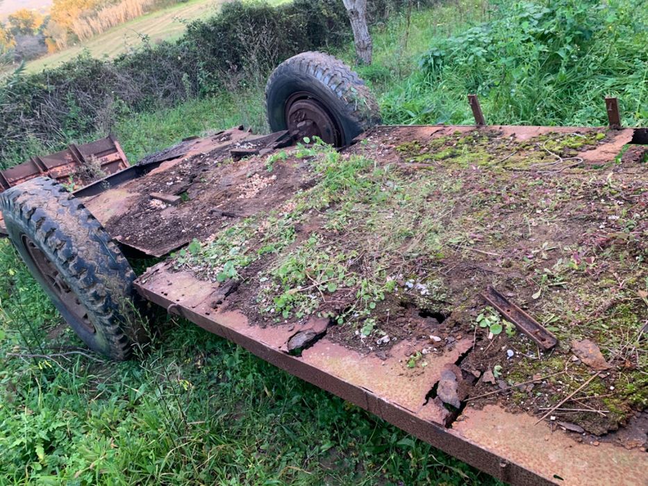 Zorra velha para Mini giratória