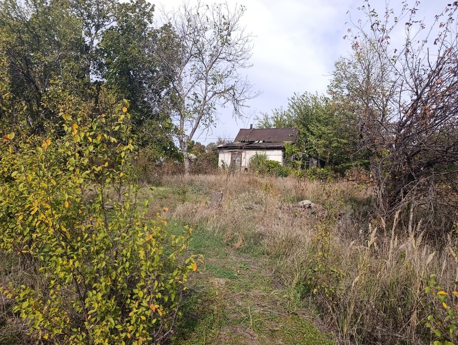 Продам дом участок Куриловка