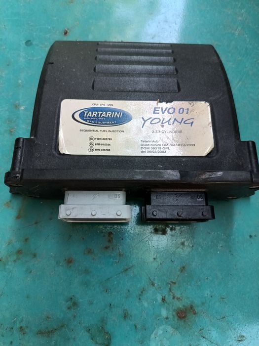 Газовые мозги ЭБУ Тартарини