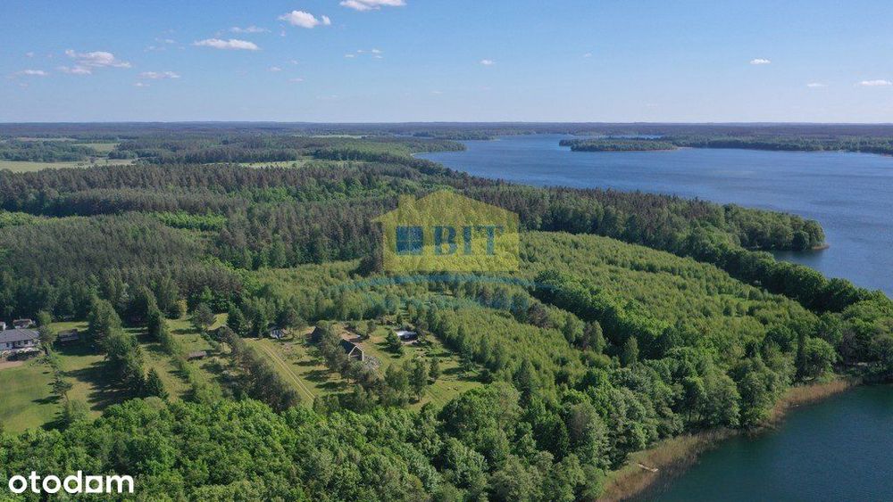 Działka 1,9968 ha nad jeziorem Siecino - Widok 5