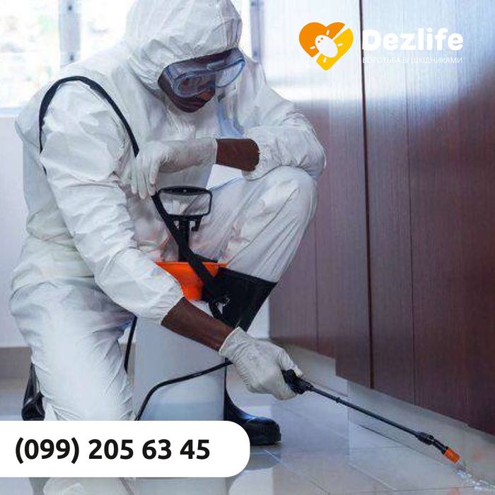Винищуємо комах таргани клопи блохи та гризунів Безпечно Гарантія