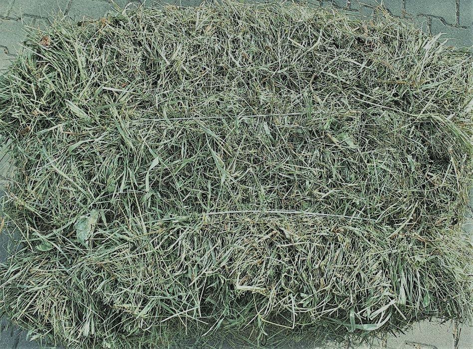 Sprzedam sianko  łąkowe z  koniczyną  z Doliny Liwca  paka ok. 8-10 kg