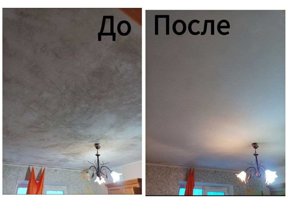 Видалення Цвілі/Грибка. Грибок та Цвіль Плесень