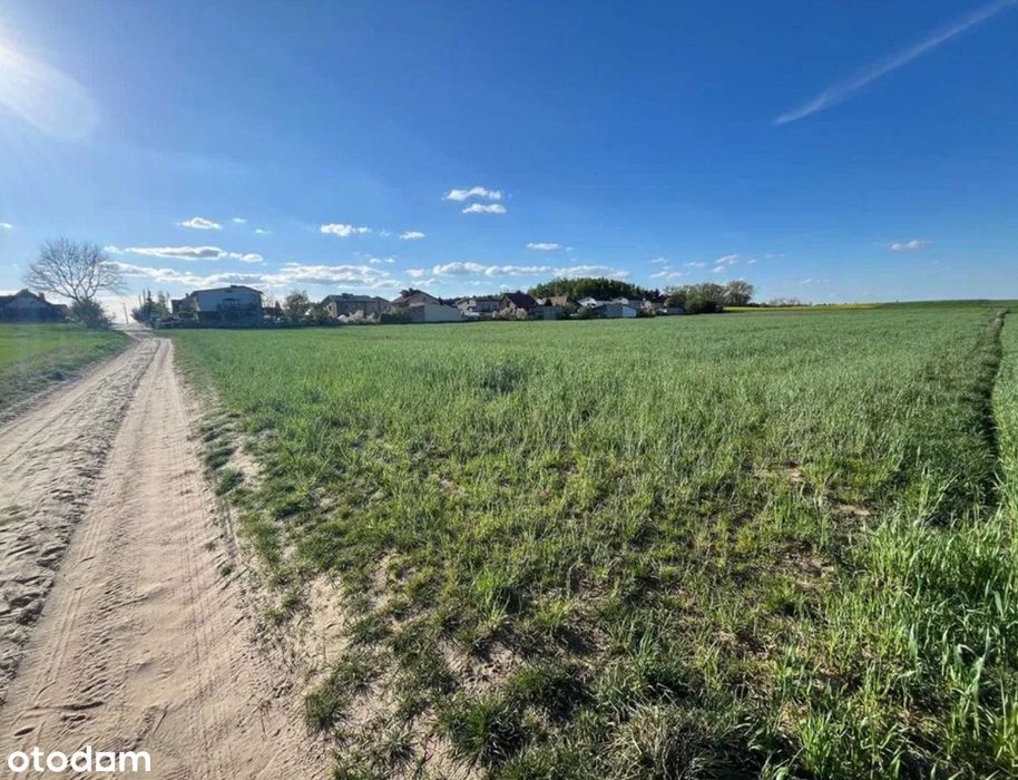 Działka pod inwestycje deweloperską MIKSTAT MPZP- MN; 22 działki!!!