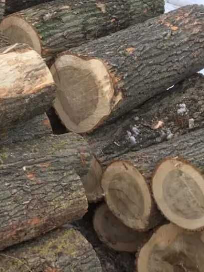 Дрова дуб колені. Доставка