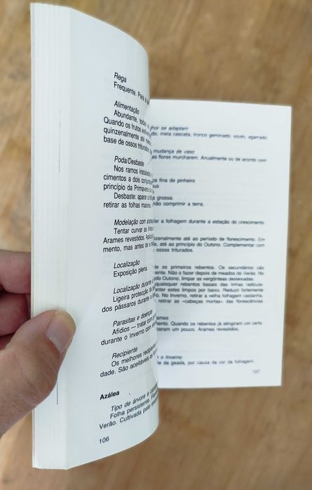 A Arte do Bonsai - Portes Gratis