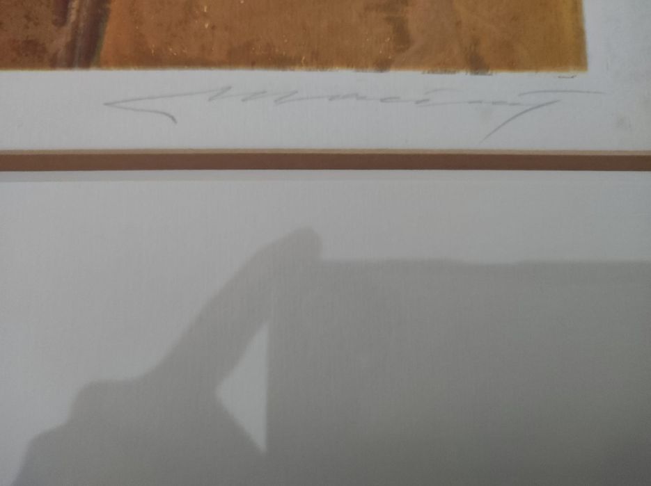 Quadro  - Costa Nova