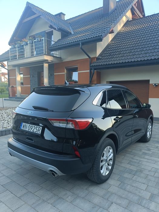 Ford Kuga Krajowy