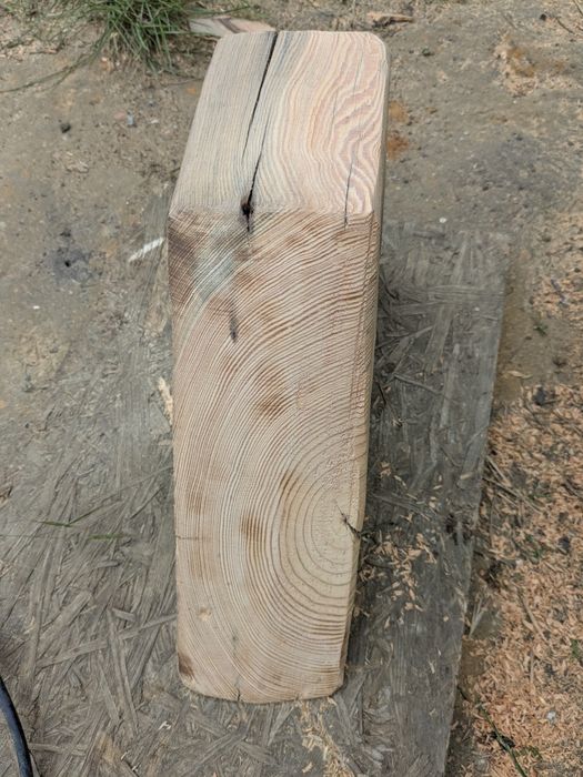 Stare drzewo poniemieckie więźba daglezja 100lat