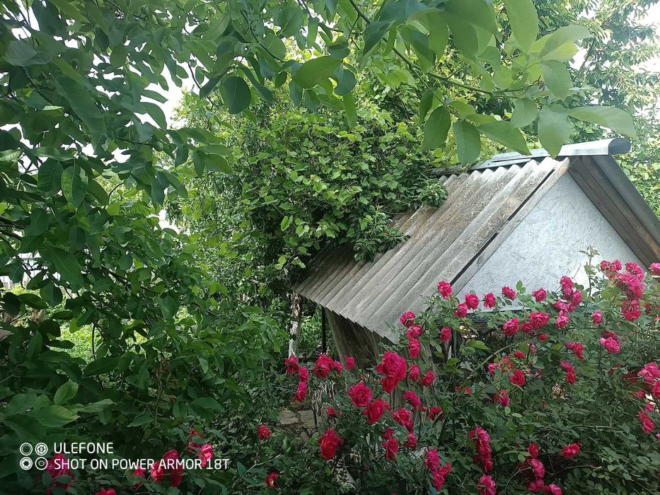 Продаж будинку в Тяжилові