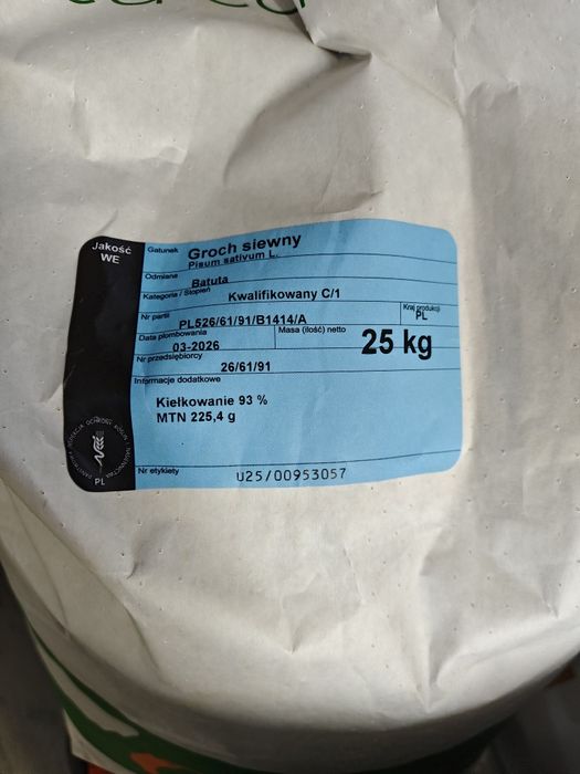 Groch siewny BATUTA