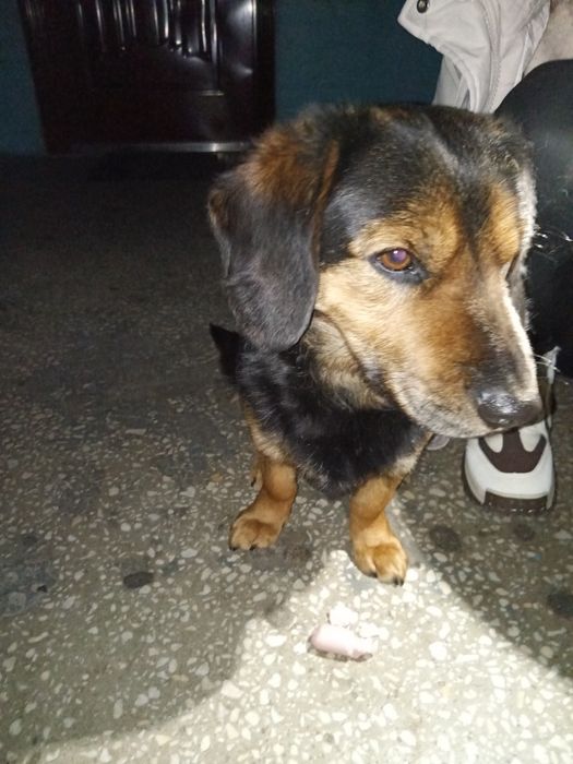 Хлопчик шукає родину.