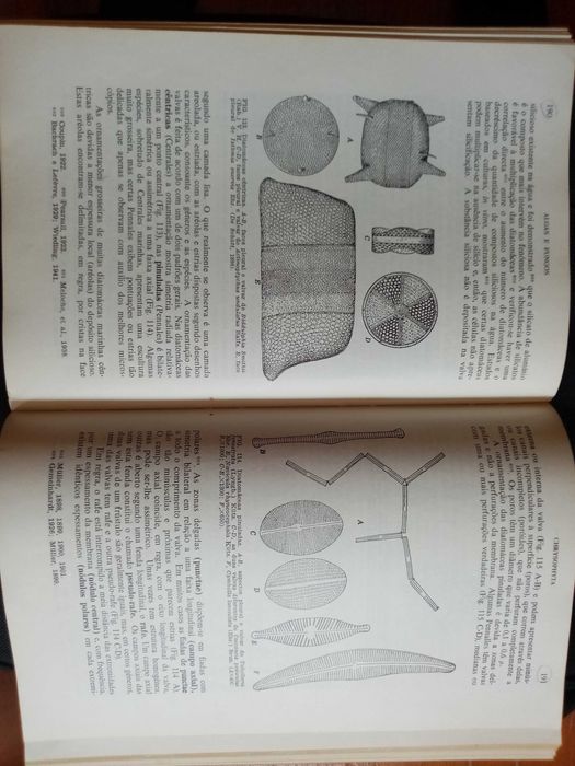 Cryptogamic Botany Vol. I Algae and Fungi64584814160643121