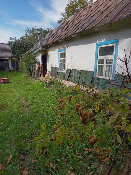 с. Стайки, будинок, земел. ділян. під забудову 20 сот. вул. Зелена 92