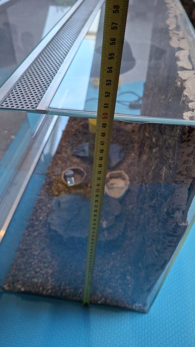 Terrarium dla żółwia