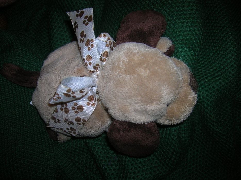 Пес Барбос и щенок Лялечка