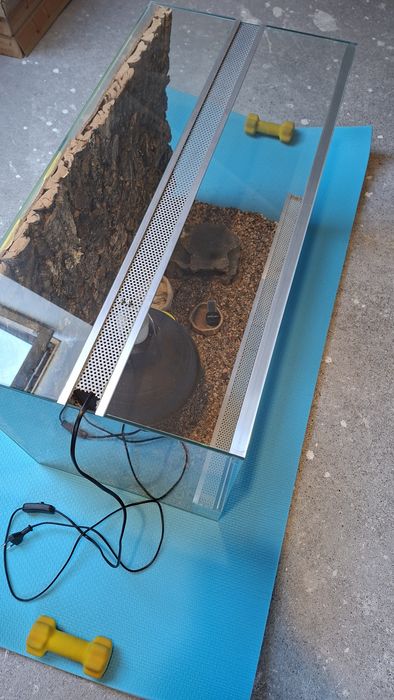 Terrarium dla żółwia
