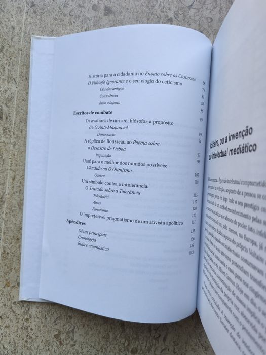 Voltaire - A ironia contra o fanatismo