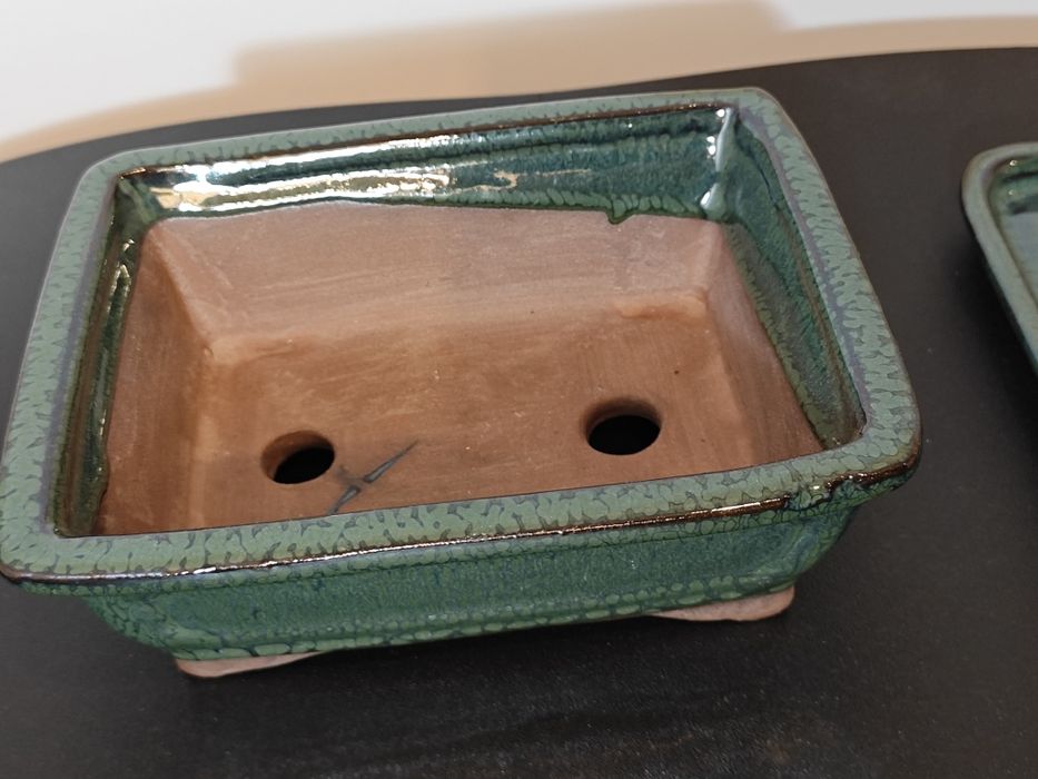 Vaso para bonsai em verde