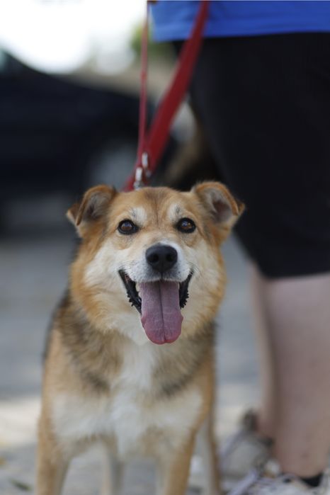 Tylko mnie kochaj - krzyczy Wiper!