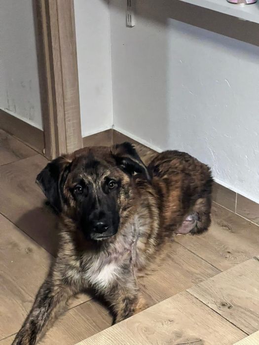 Neptunek szuka swojej chaty