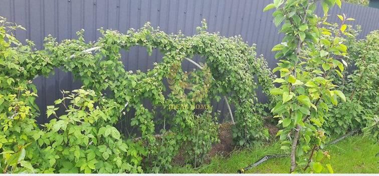 Продаж будинку на 4 кімнати в Рожнах