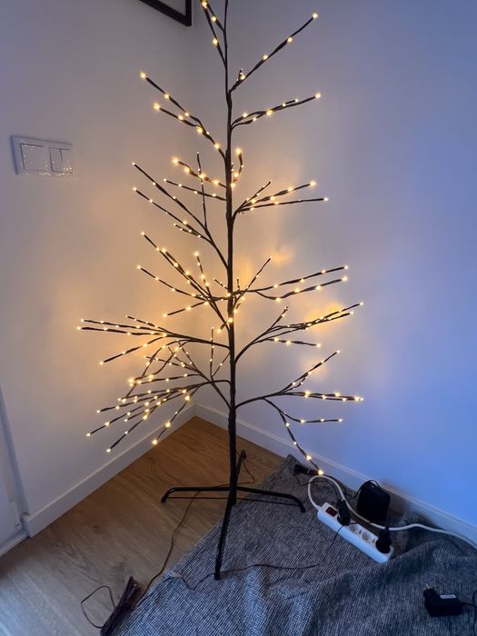 Arvore candeeiro areastore