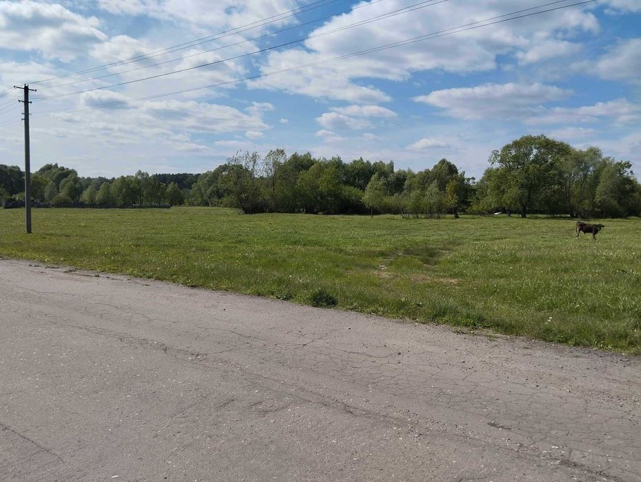 Земельна ділянка