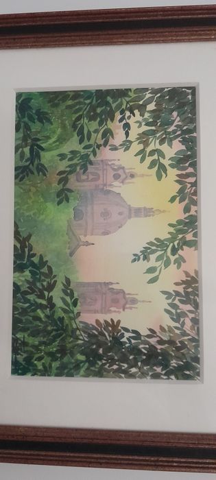 Beautiful Medium-Sized Frame426077949653176322