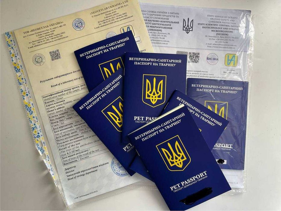 Терміново документи для тварин, доставка тварин Європа та Америка