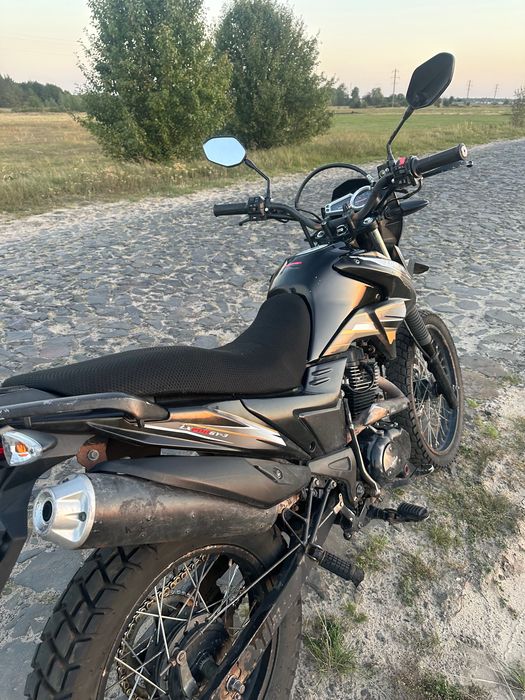 Продам Лонкін прус 200