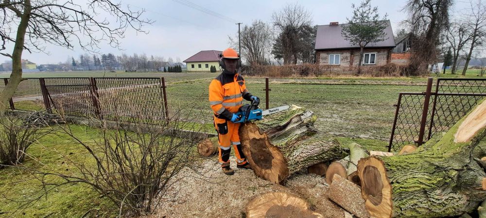 Wycinanie drzew ,karczowanie działki,  wywóz galezi