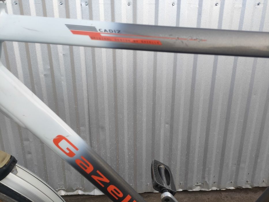 Rower męski Gazelle Cadiz