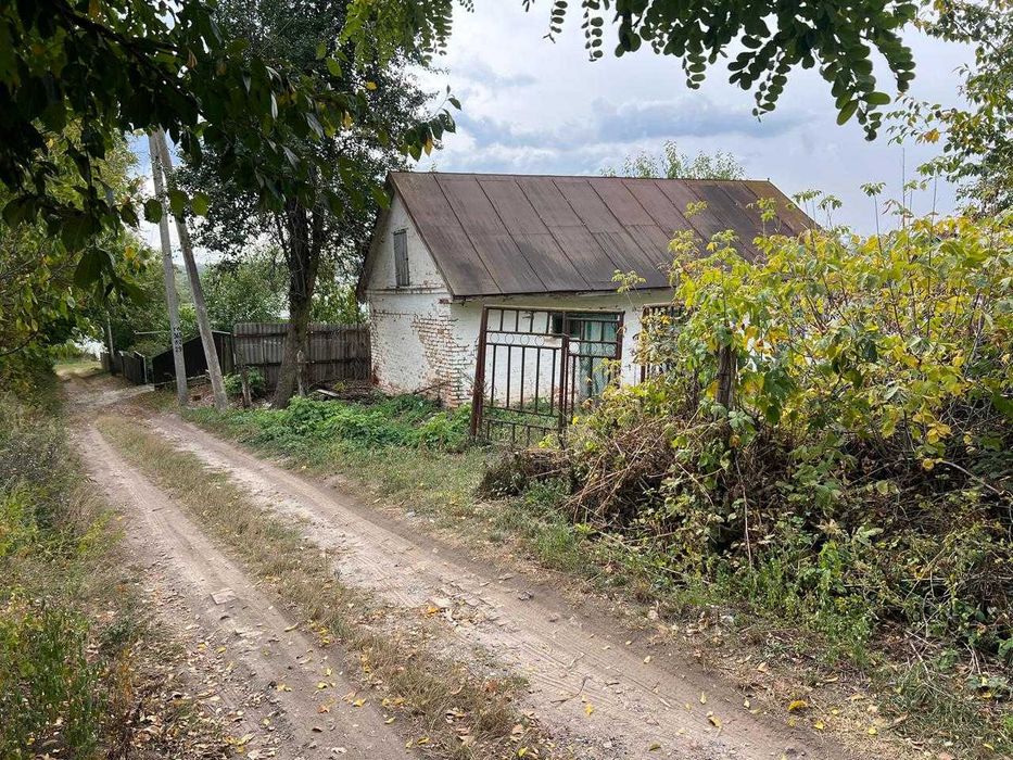 Будинок,Вільшана,земельна ділянка