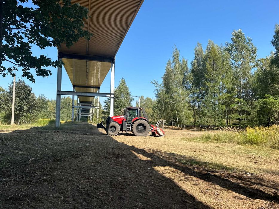 Usługa mulczowania i wycinka drzew (mulczer leśny, frezarka do pni)