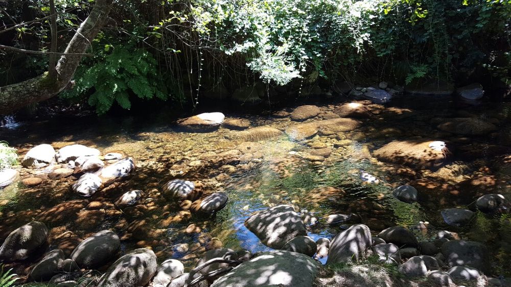 Terreno urbanizável, agrícola e florestal em Monção