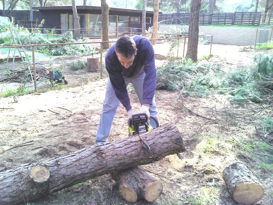 Corte arvores caídas com motoserra e limpeza de terrenos e quintais