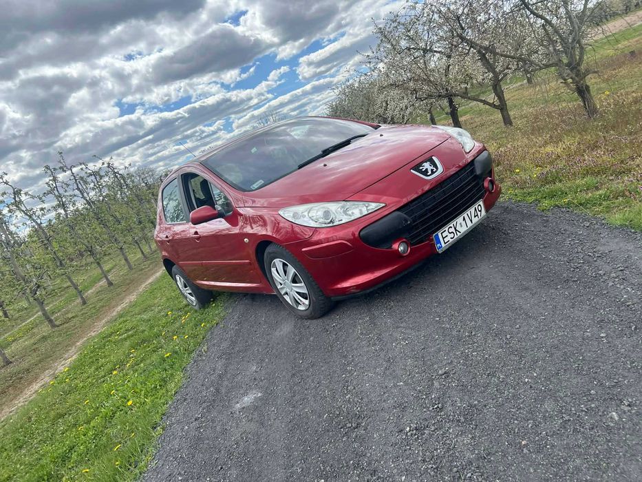 Peugeot 307 1,6 hdi