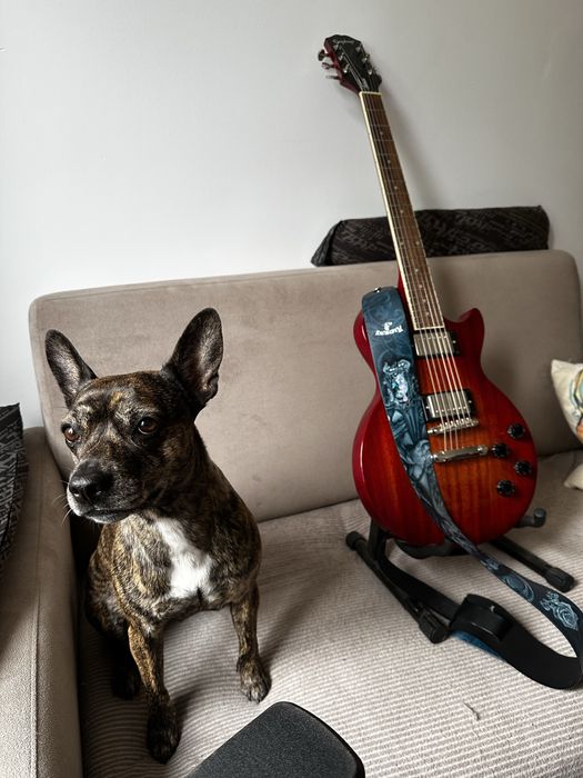 Epiphone Les Paul Tribute gitara elektryczna