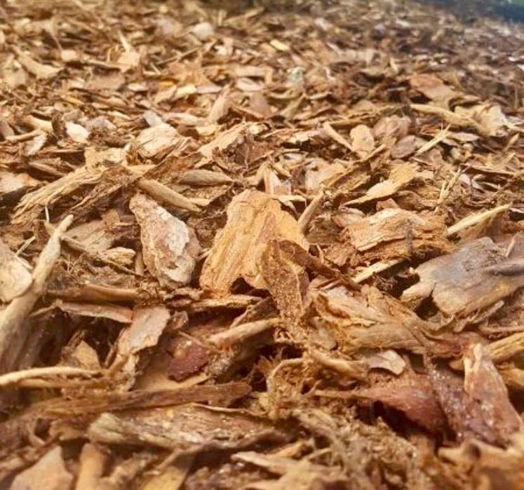 Kora Sosnowa Gruba Frakcja ogrodowa