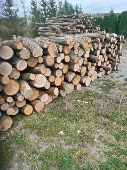 Drewno opalowe Dąb w wałkach o dl 125cm opał kominkowe