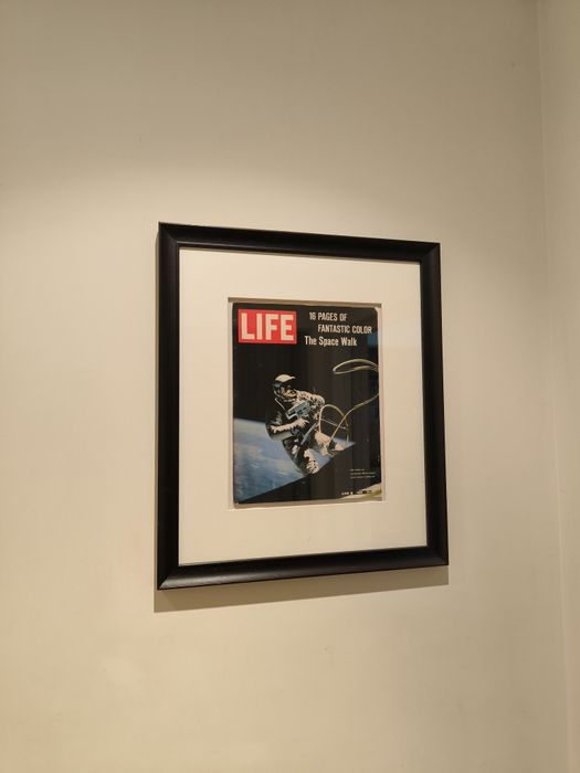 Quadros para decoração