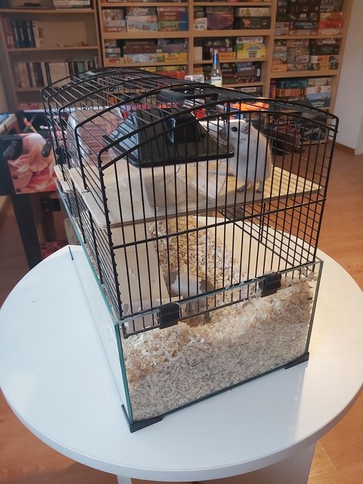 Myszoskoczek z klatką