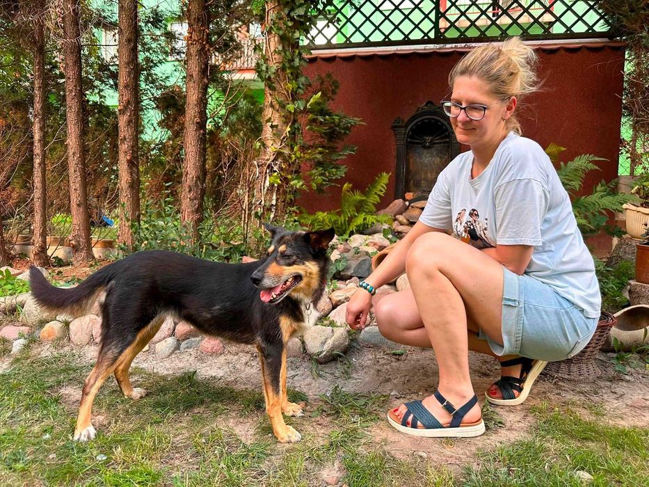 Do adopcji - łagodna Szkocja szuka domu!