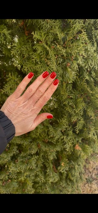 Манікюр Луцьк | Педикюр | Брови | 10 років досвіду